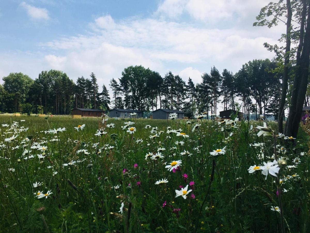 Hollicarrs - Wildflower Lodge York Buitenkant foto