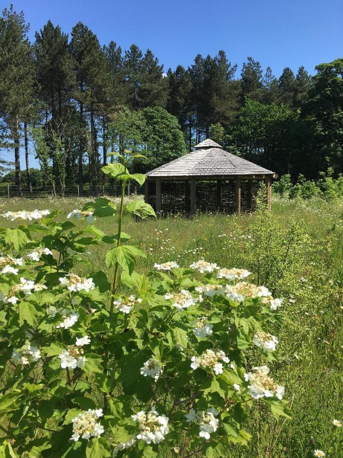 Hollicarrs - Wildflower Lodge York Buitenkant foto