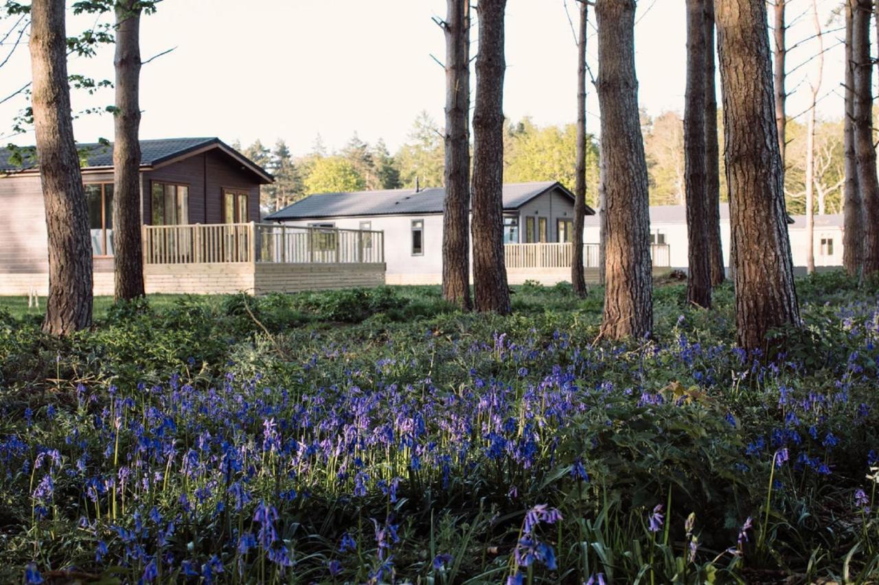 Hollicarrs - Wildflower Lodge York Buitenkant foto