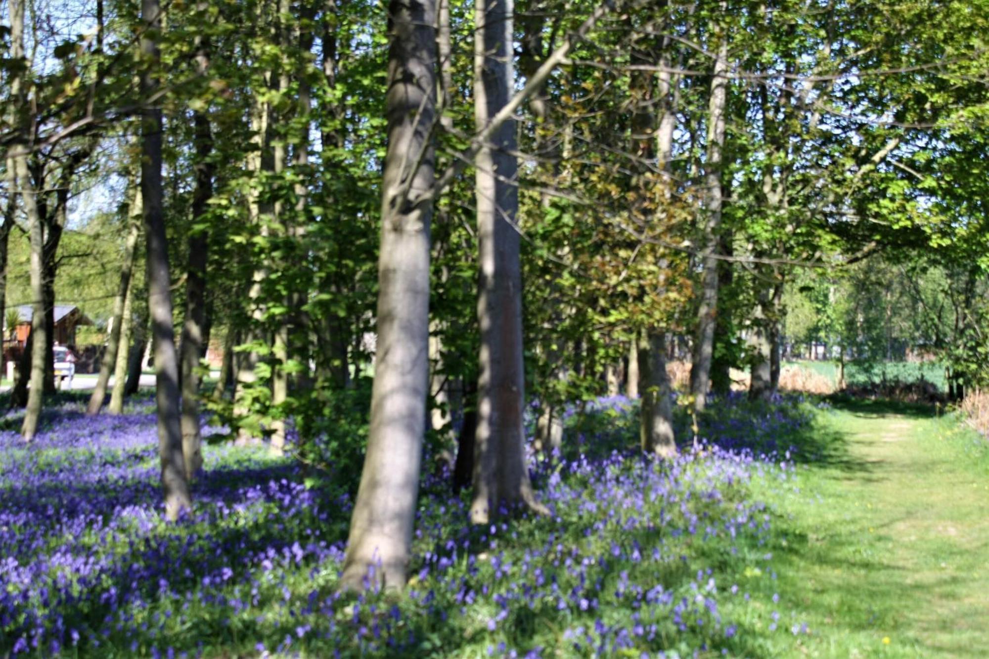 Hollicarrs - Wildflower Lodge York Buitenkant foto